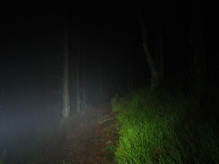 P1010182.JPG