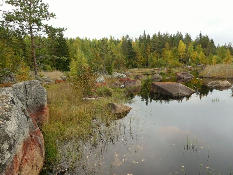 P1010201800x600.jpg