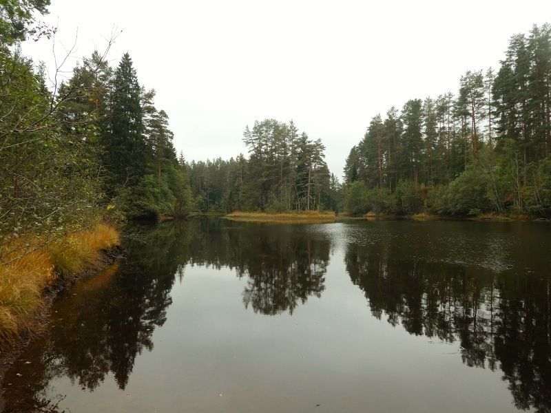 P1010260800x600.jpg