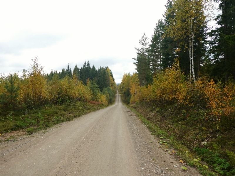 P1010408800x600.jpg