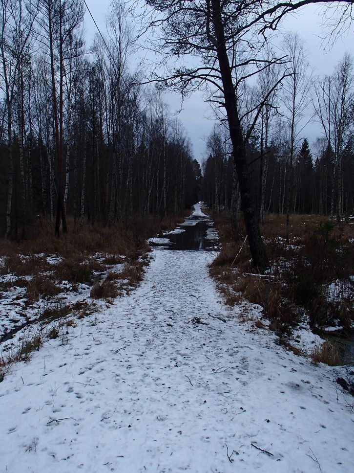 P1010419.JPG