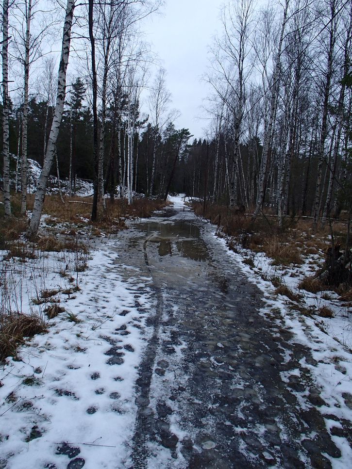 P1010421.JPG
