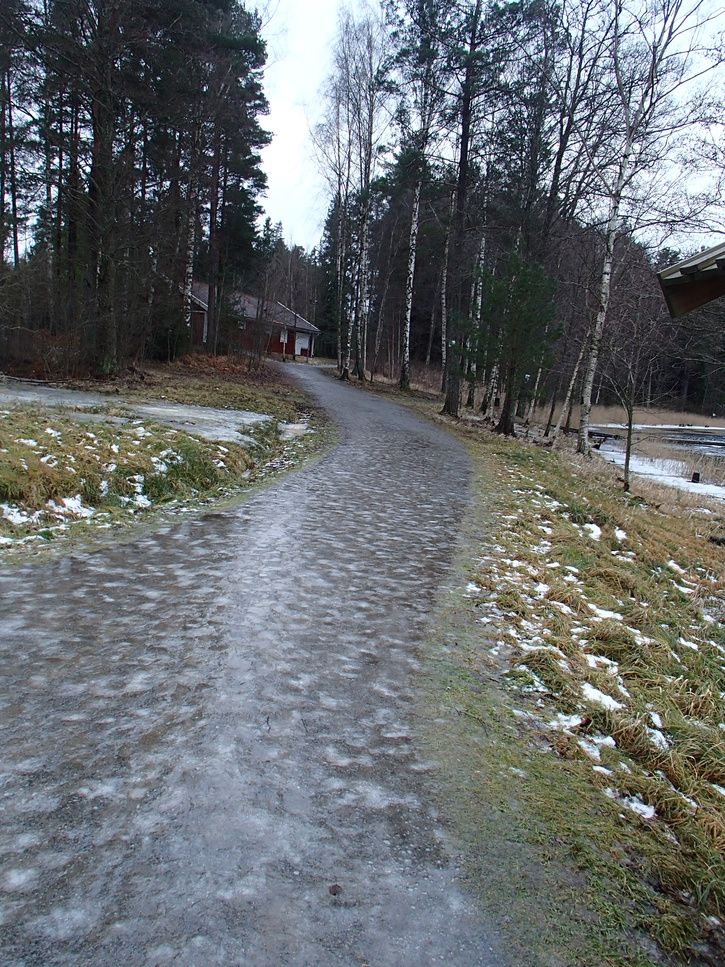 P1010440.JPG