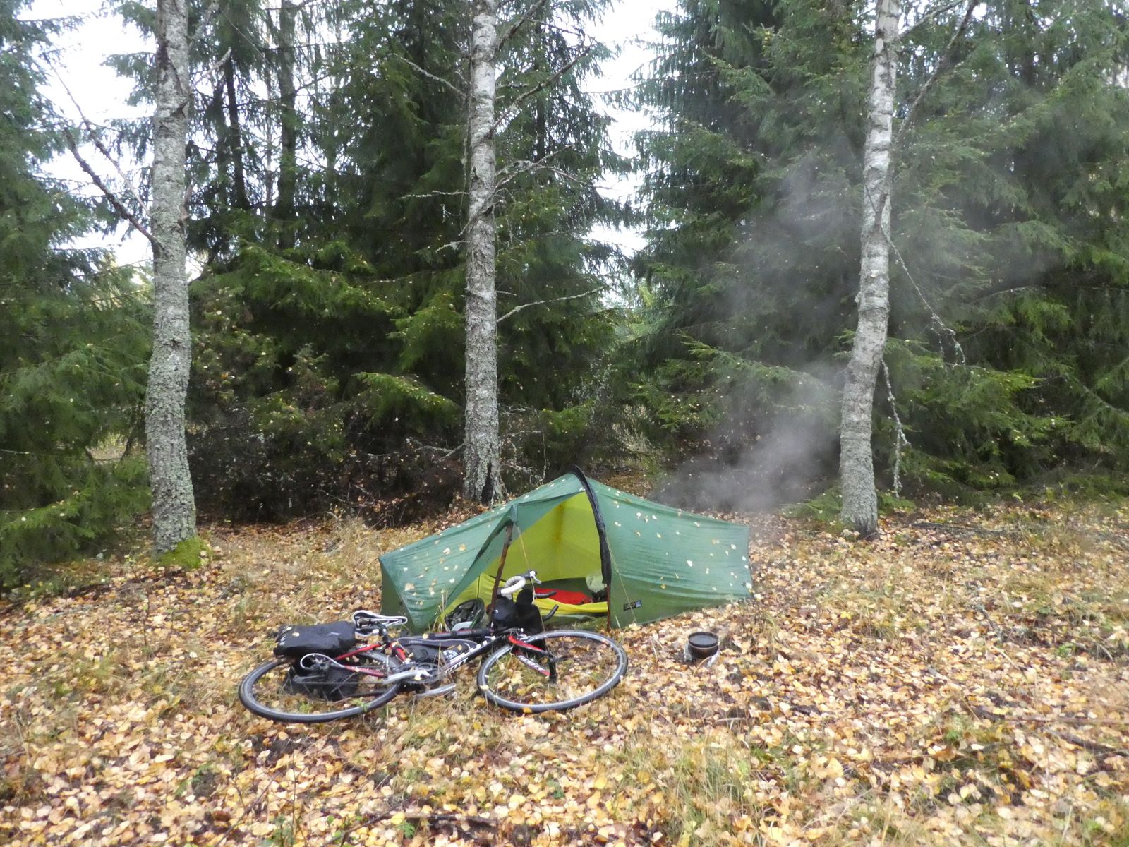 P1010441.JPG