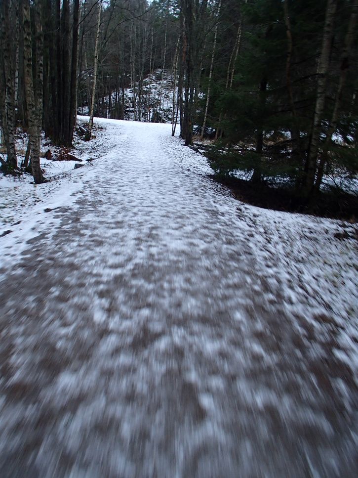 P1010446.JPG