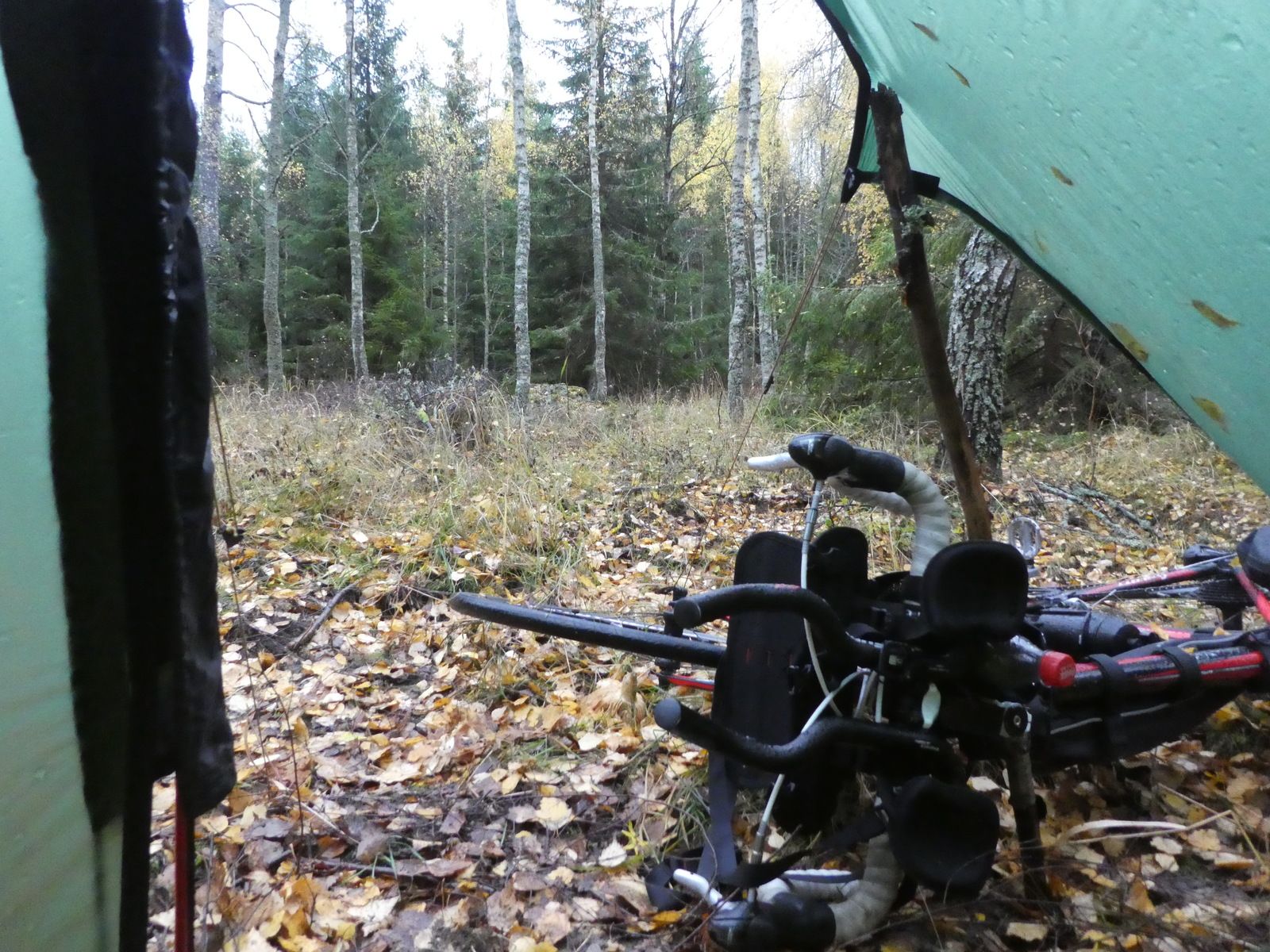 P1010448.JPG