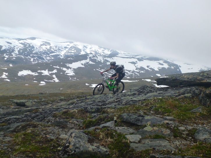 P1010649.jpg