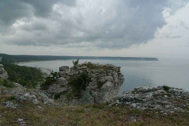 P1010784.JPG ht=484
