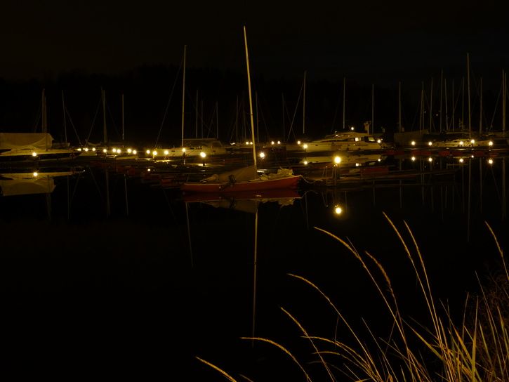 P1010940.JPG