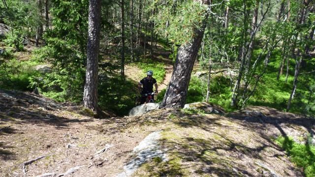 P1010966Small.JPG ht=360
