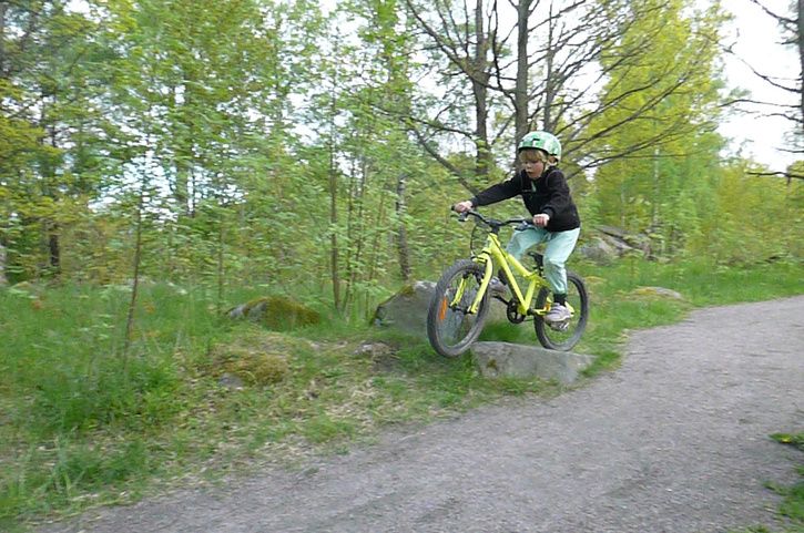 P1010989.jpg
