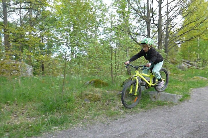 P1010990.jpg