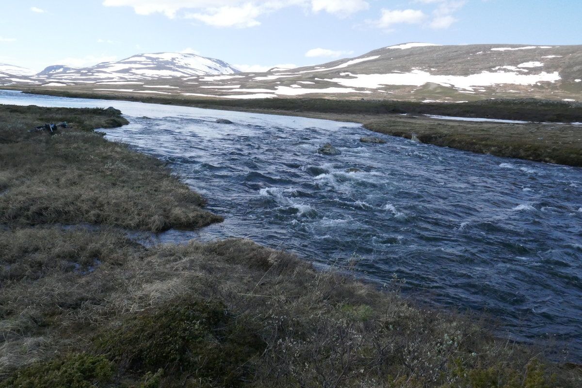 P1020192.JPG