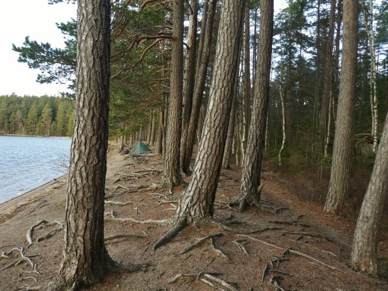 P1020203800x600.jpg