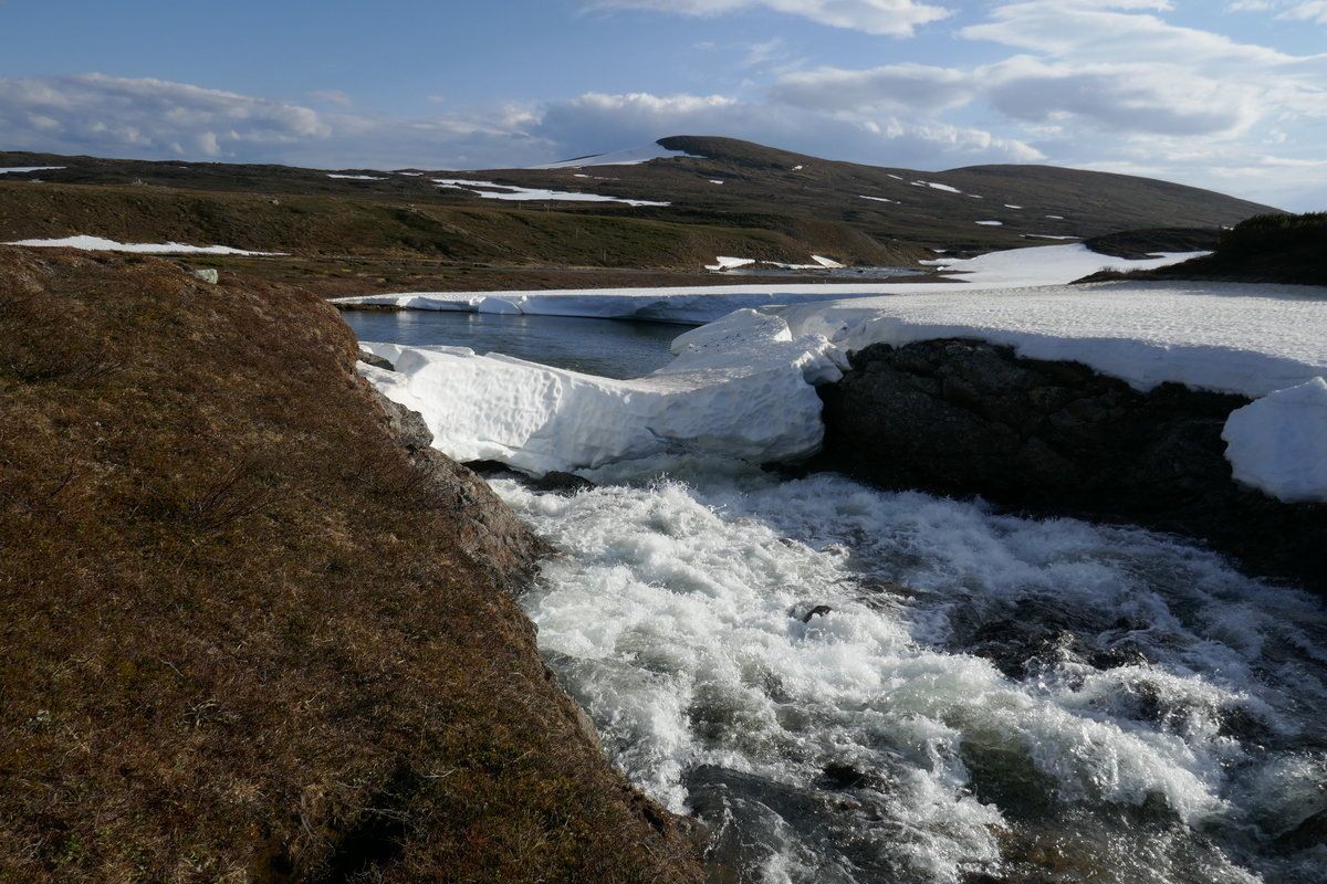 P1020207.JPG