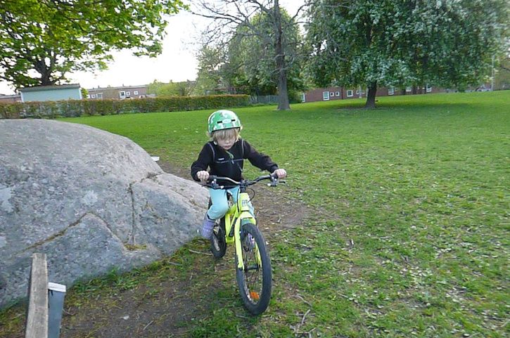 P1020221.jpg