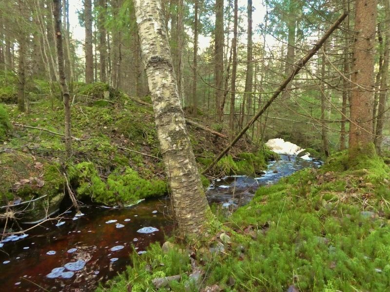 P1020251800x600.jpg