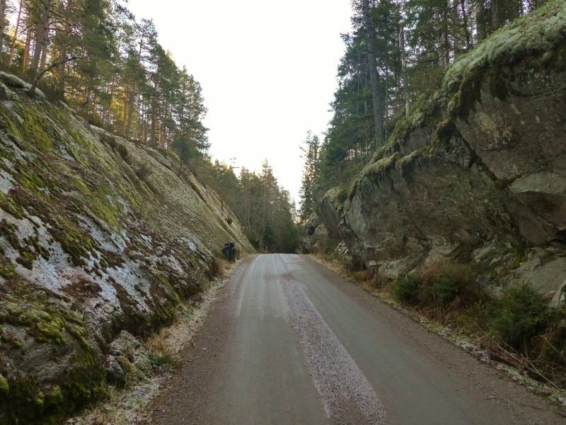 P1020260800x600.jpg