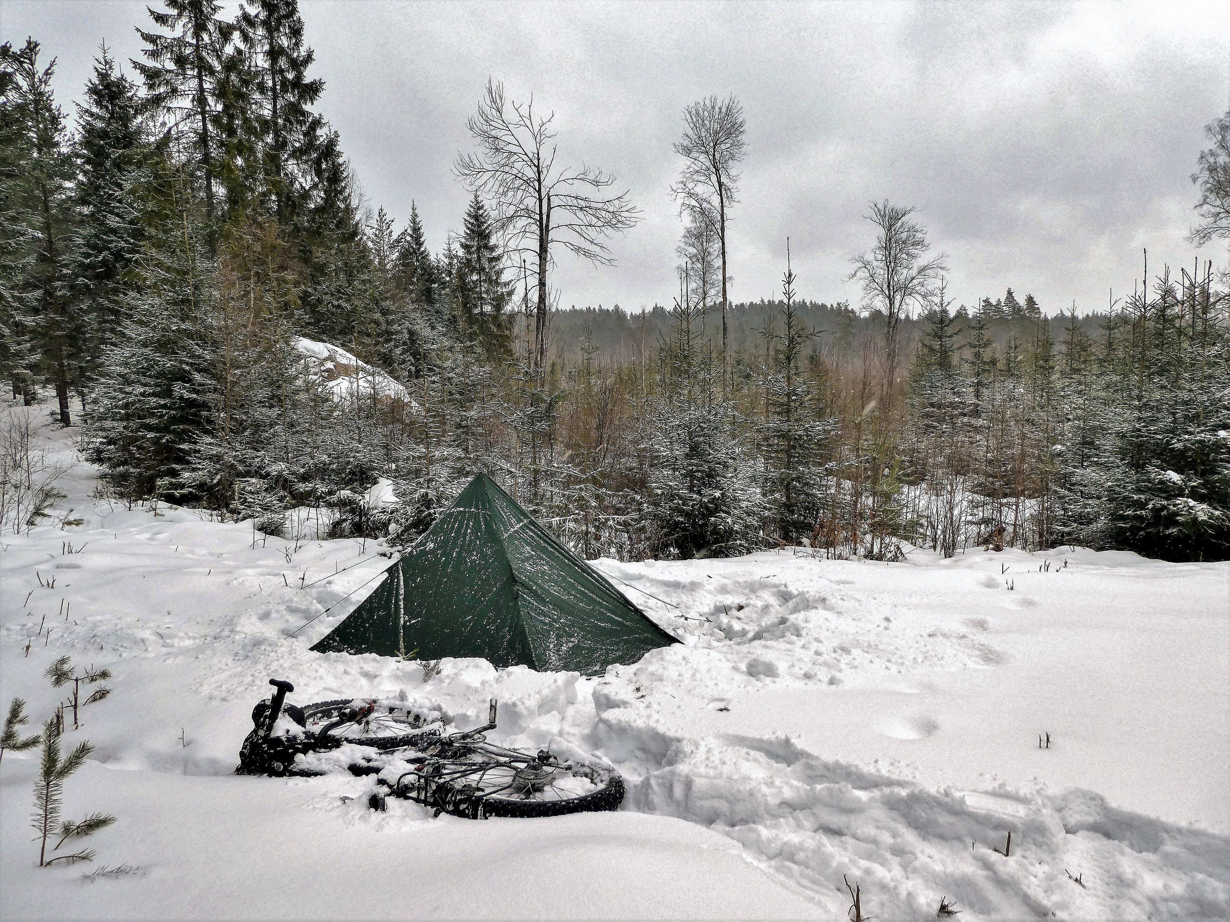 P1020299a.jpg
