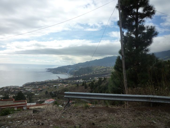 P1020425.JPG