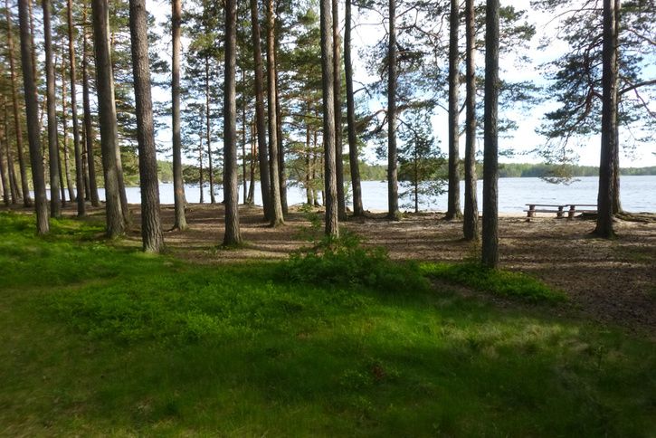 P1020523.jpg