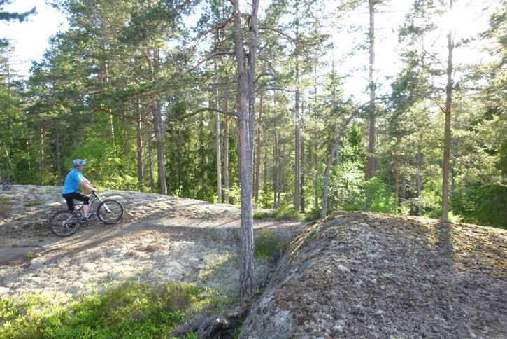 P1020571.jpg