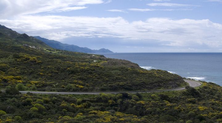 P1020653happysized.jpg ht=400