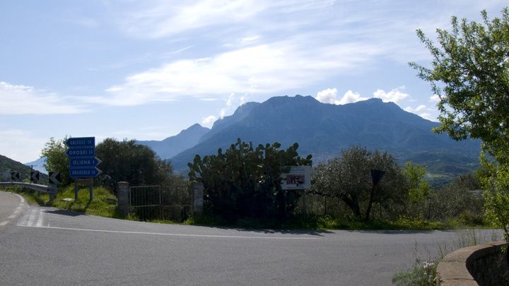 P1020735happysized.jpg ht=405