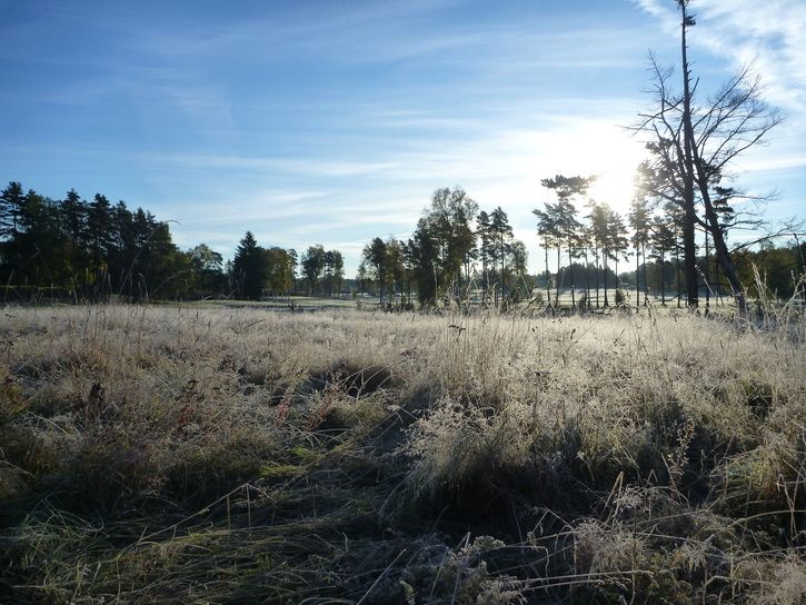 P1020764.JPG