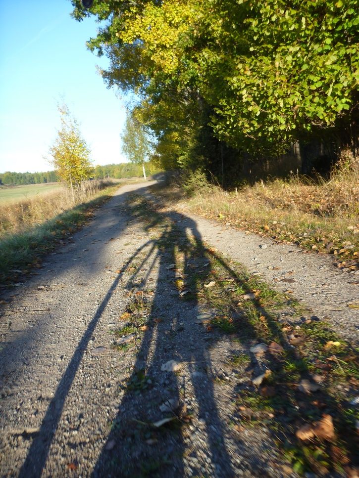 P1020771.JPG