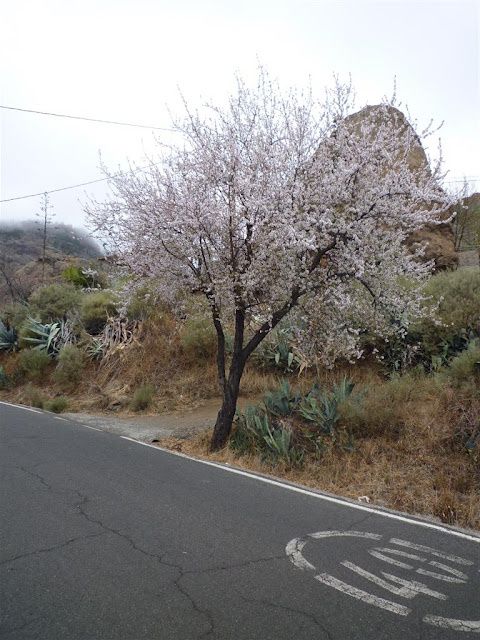 P1020916Large.JPG