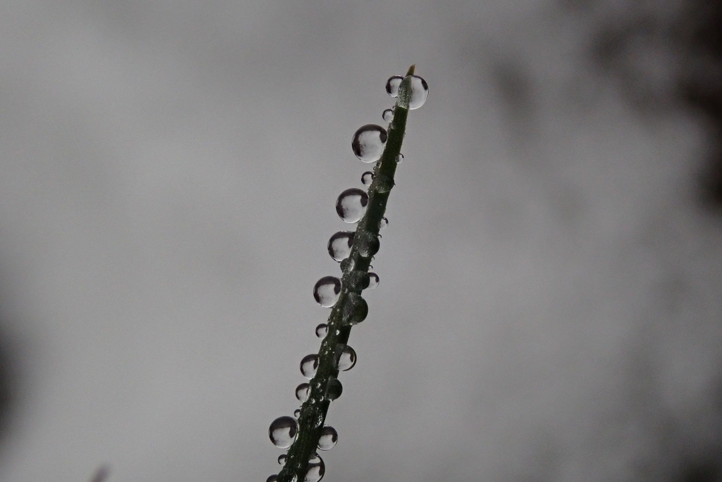 P1021244.JPG
