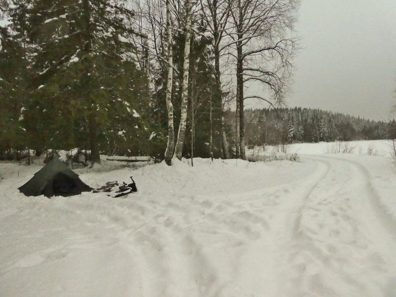 P1030036800x600.jpg