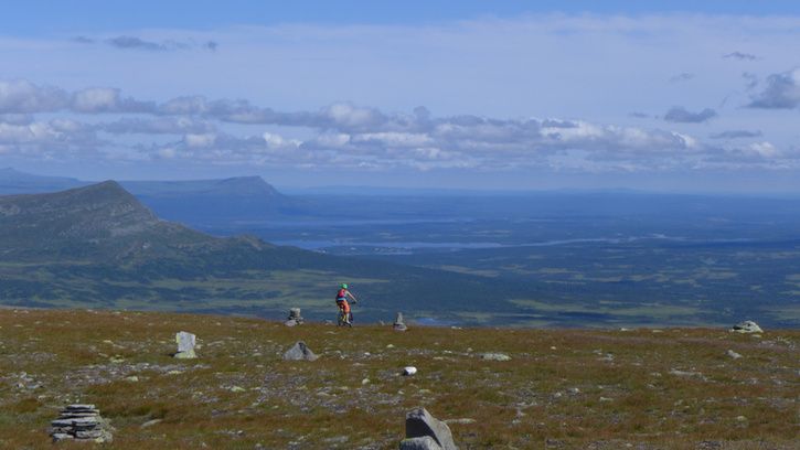 P1030038.jpg