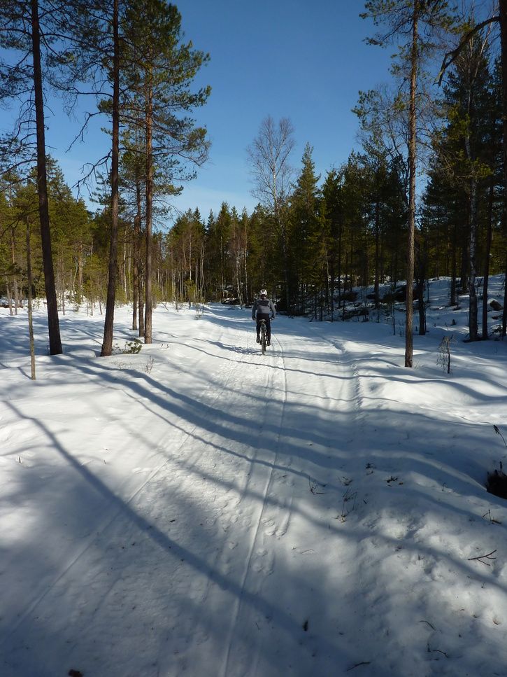 P1030056.JPG
