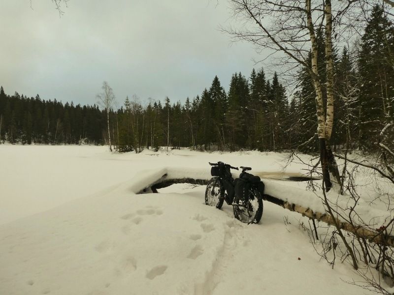 P1030064800x600.jpg