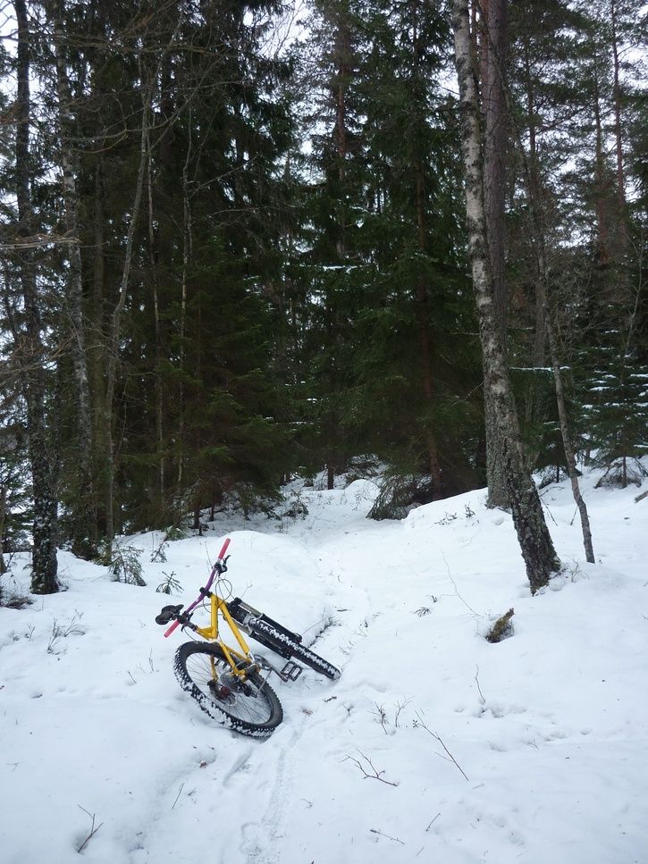 P1030133-2.jpg