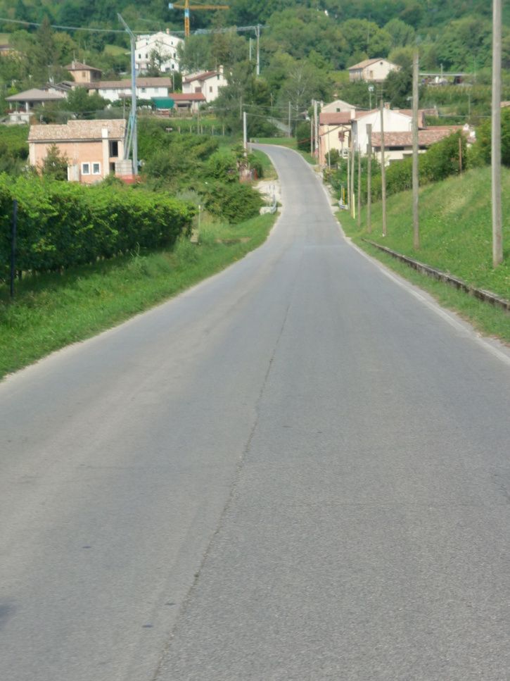 P1030194.JPG