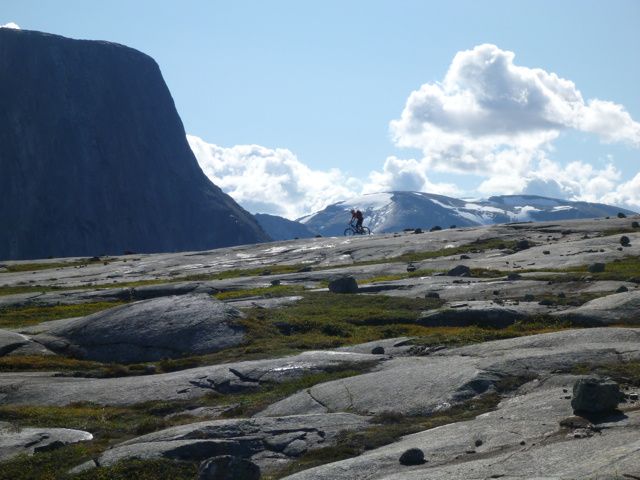 P1030201.jpg