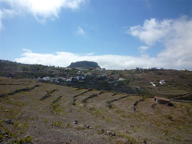 P1030213Medium.JPG
