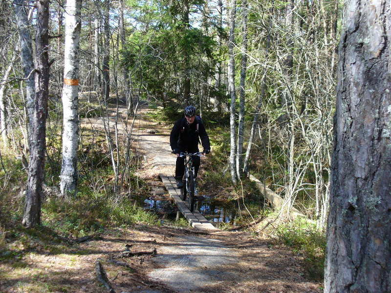 P1030373.JPG.new.jpg