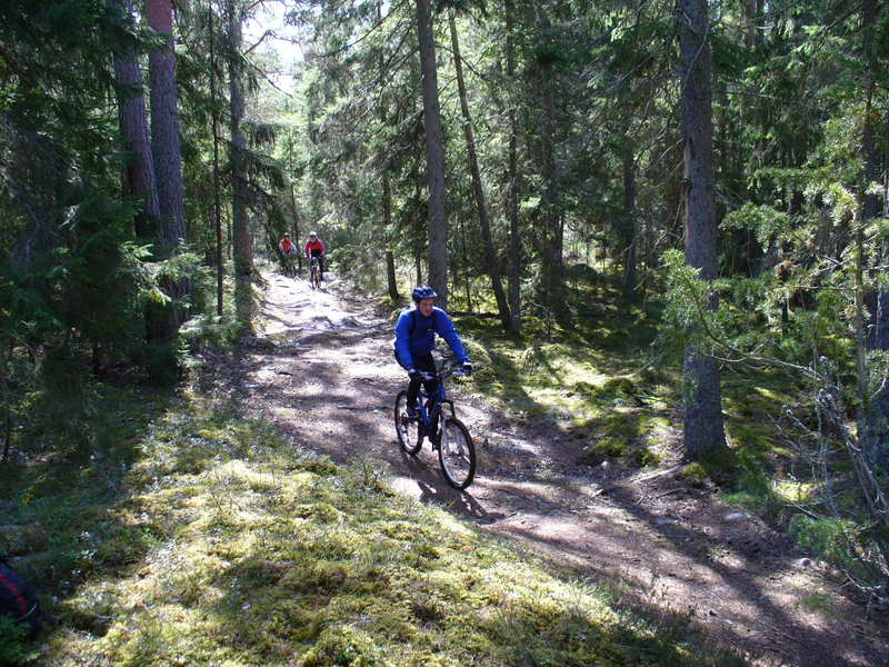 P1030389.JPG.new.jpg