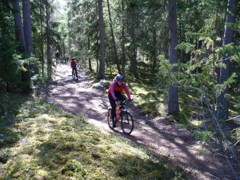P1030390.JPG.new.jpg