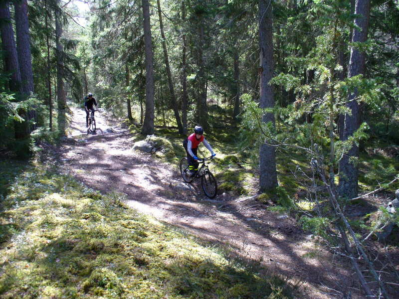 P1030391.JPG.new.jpg