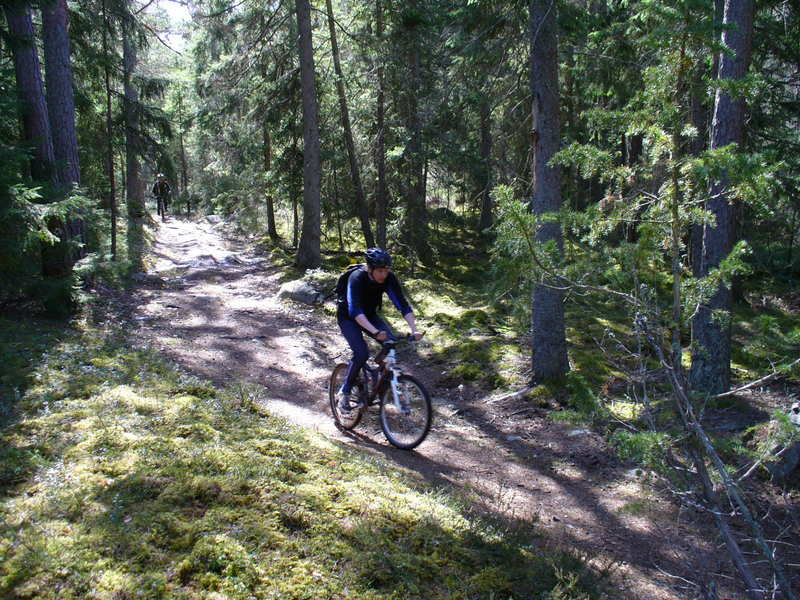 P1030392.JPG.new.jpg
