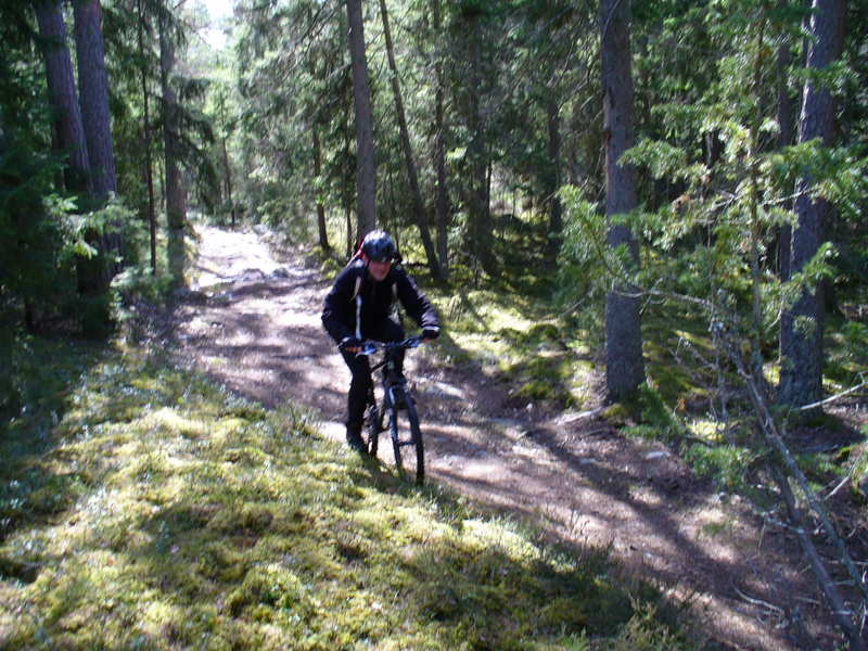 P1030393.JPG.new.jpg