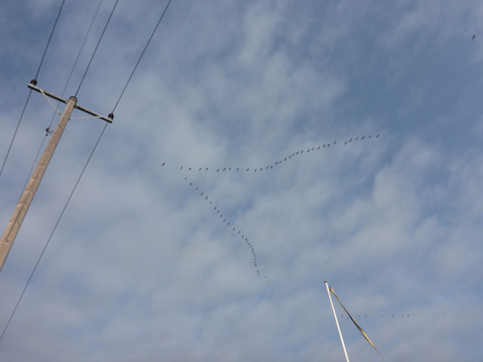 P1030403.JPG