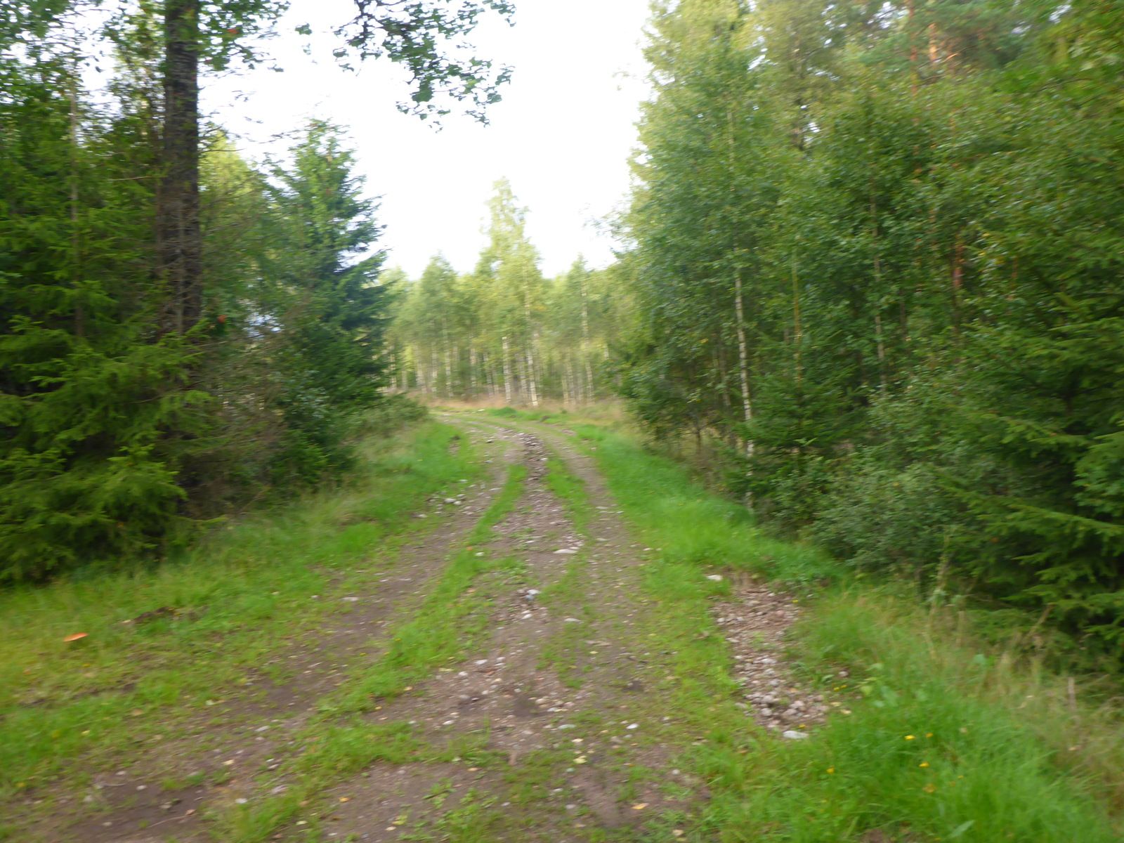 P1030407.JPG