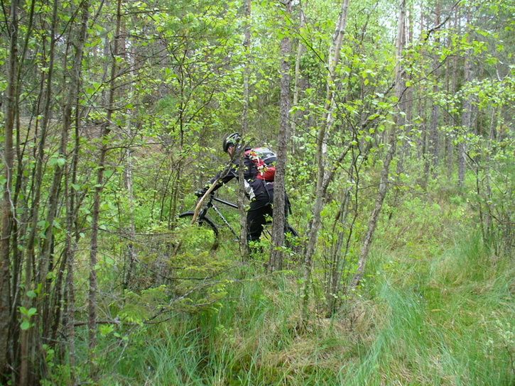 P1030567.JPG.new.jpg