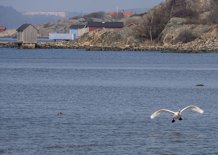 P1030595small.jpg